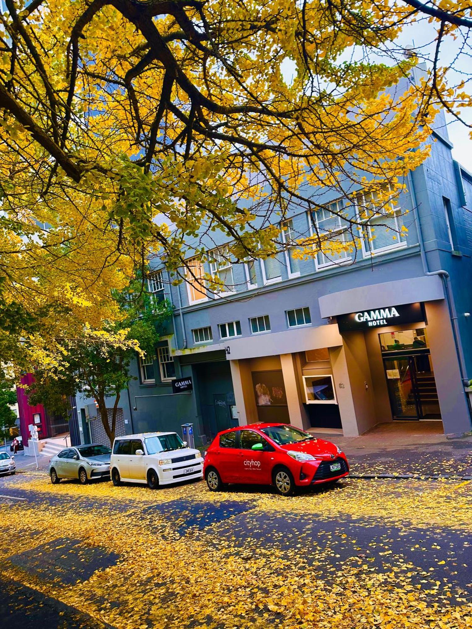 Gamma Hotel Auckland Kültér fotó